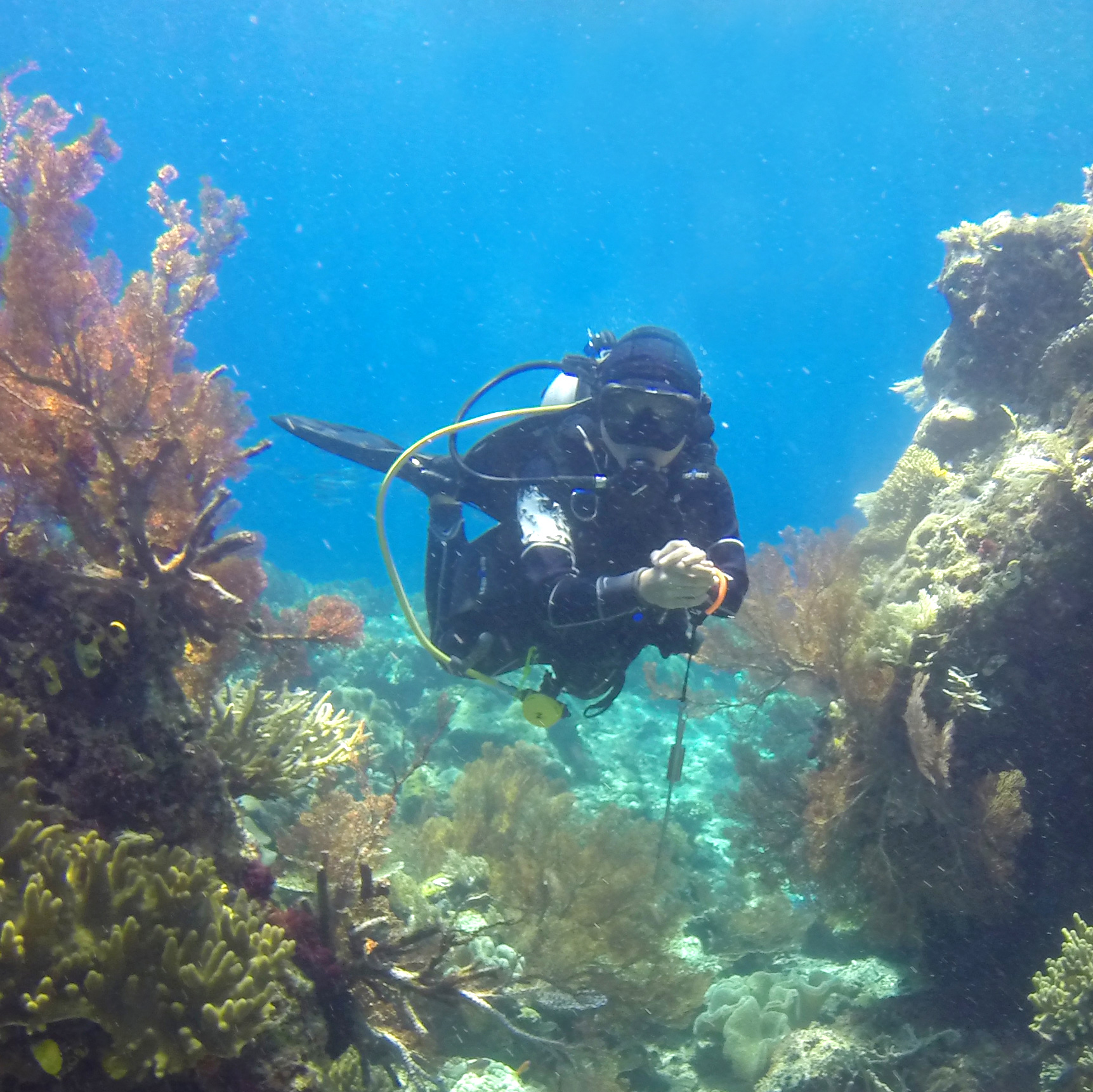 Cheryl (Duerden) scuba diving in Raja Ampat